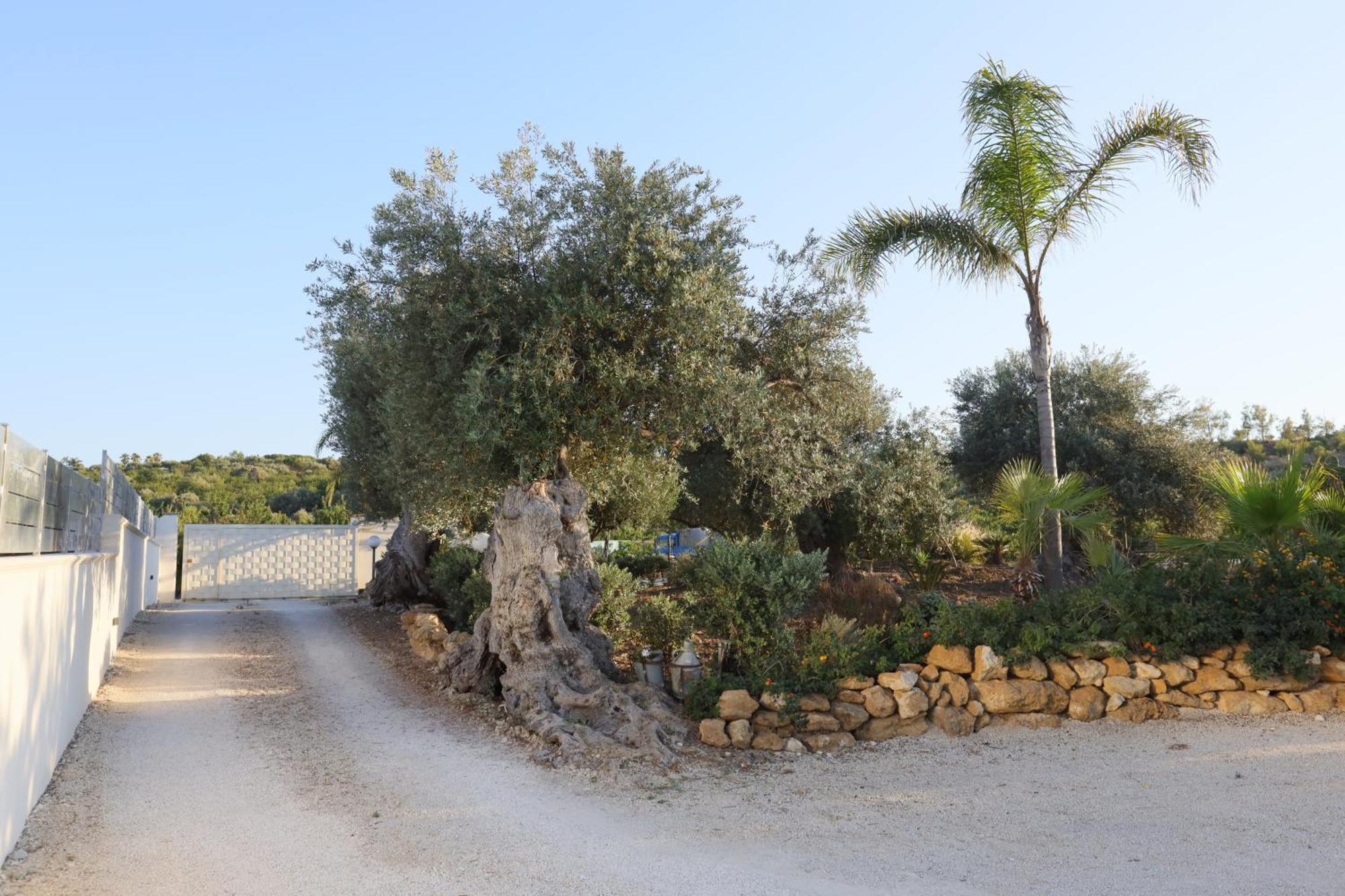 Hotel Relais Dea Degli Ulivi Agrigent Exterior foto